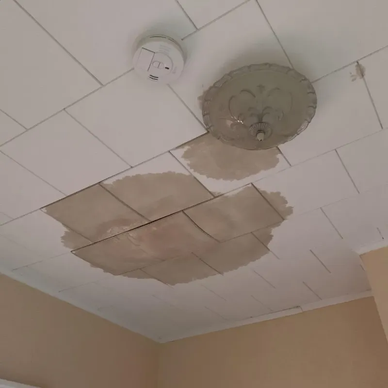 Ceiling Water Damage Repair in Maple Lake, MN