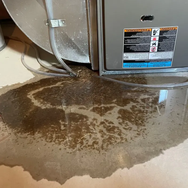 Pipe Burst and Leak Restoration in Maple Lake, MN